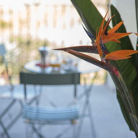 La Strelitzia Cervo Mare Apartment Exterior photo